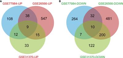 Screening potential biomarkers of cholangiocarcinoma based on gene chip meta-analysis and small-sample experimental research